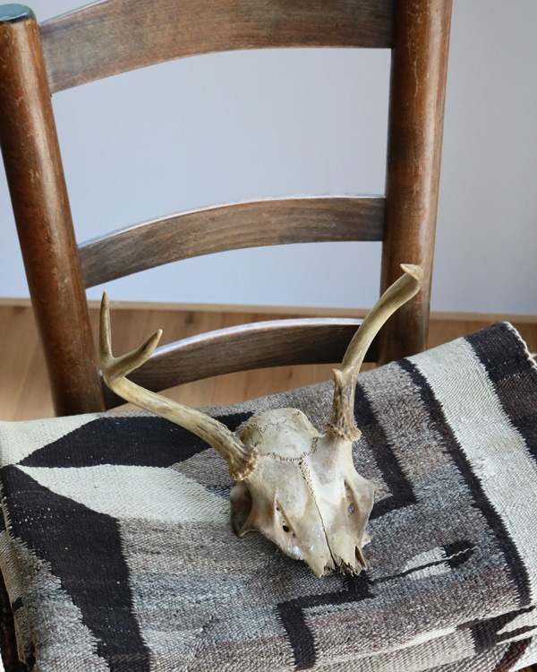 Deer Skull üƬ