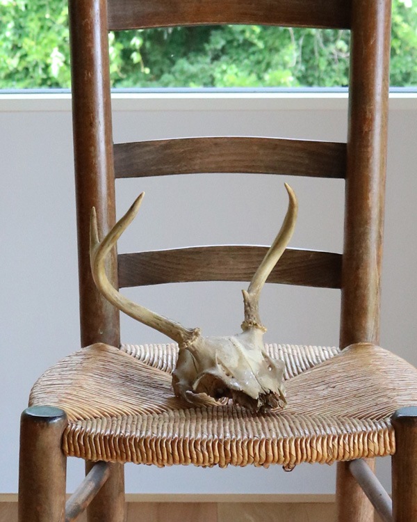 Deer Skull üƬ