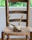 Deer Skull üƬ