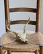 Deer Skull üƬ