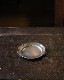 Pewter Plate Small�åԥ塼�����ץ졼�� ���⡼��