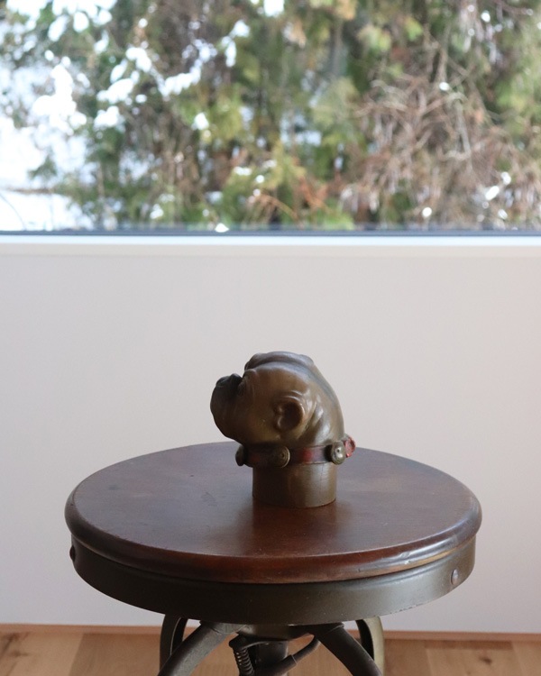 Dog Head�åɥå��إå�