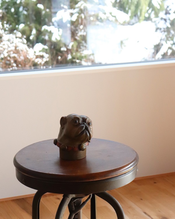 Dog Head�åɥå��إå�