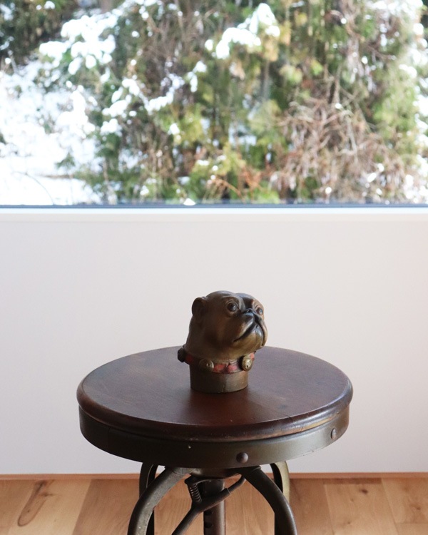 Dog Head�åɥå��إå�