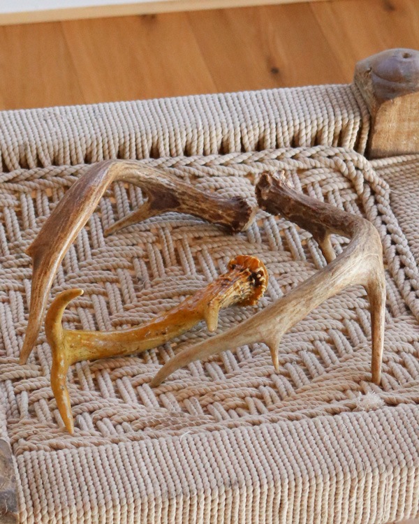 Deer Antler A�ü��γ� A