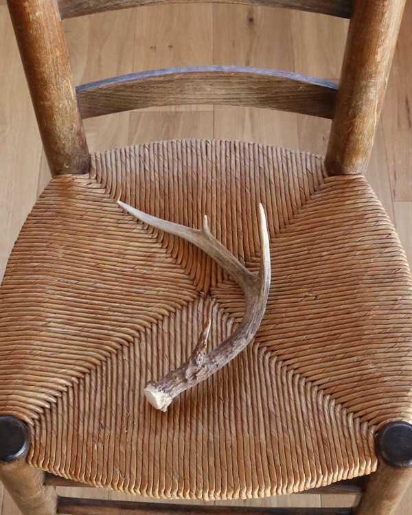 Deer Antler A�ü��γ� A