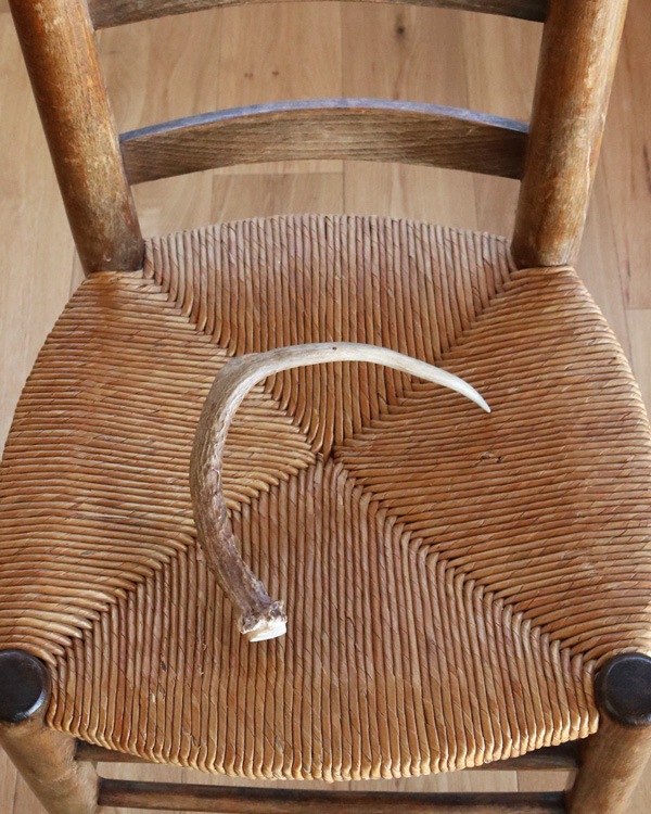 Deer Antler A�ü��γ� A