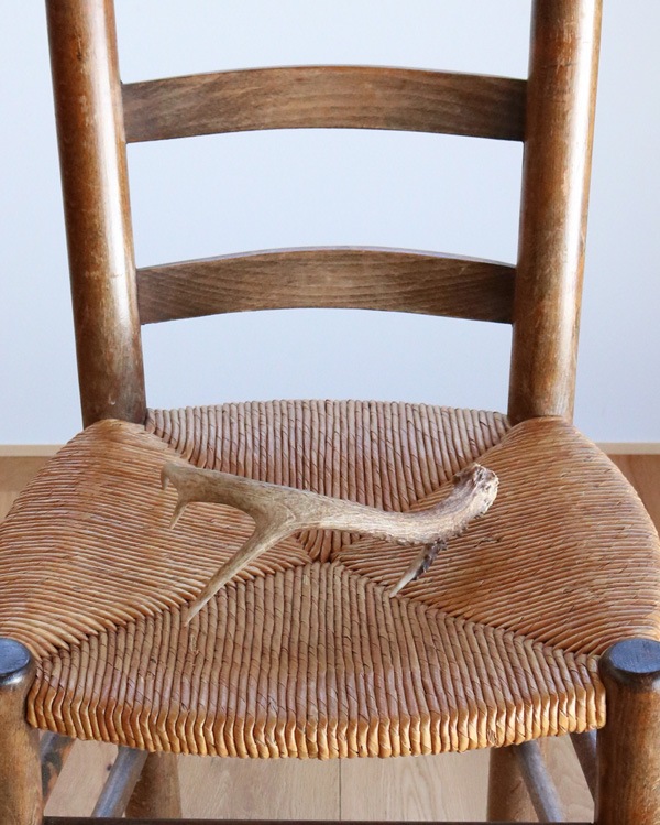 Deer Antler A�ü��γ� A