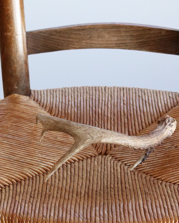 Deer Antler A�ü��γ� A