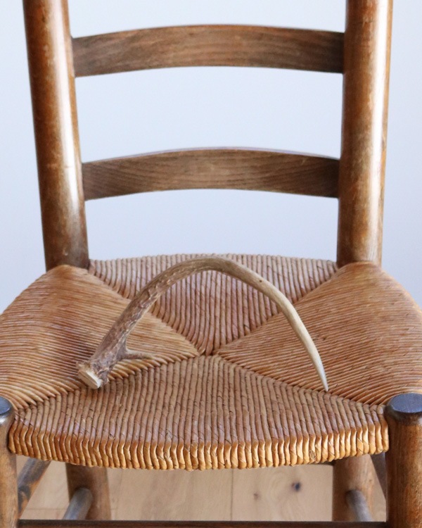 Deer Antler A�ü��γ� A