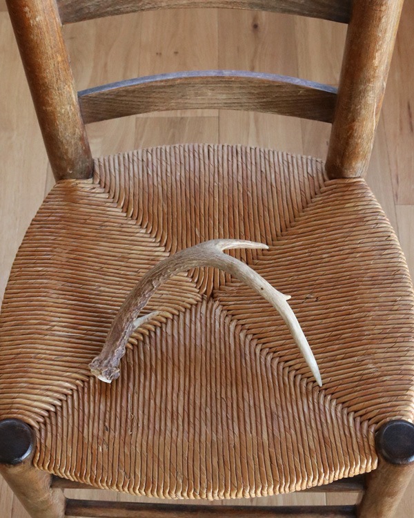 Deer Antler A�ü��γ� A