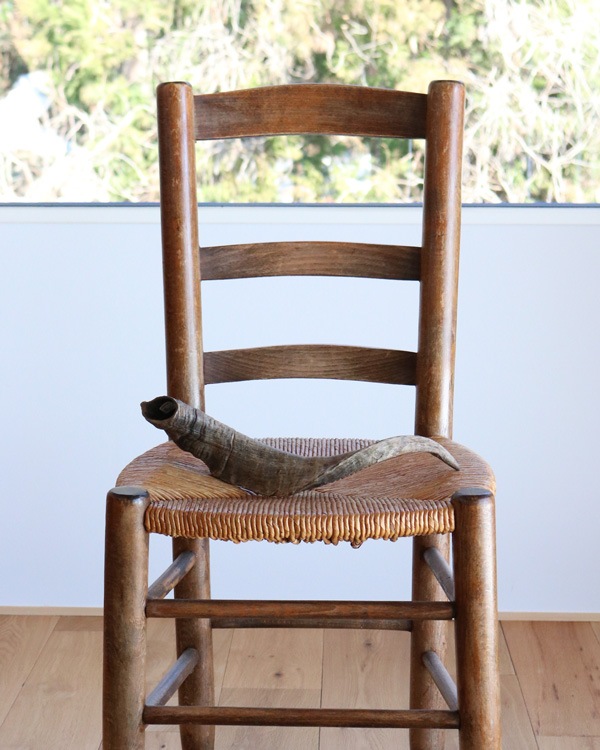 Goat Horn B�û��Ӥγ� B