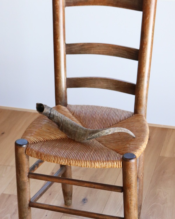 Goat Horn B�û��Ӥγ� B