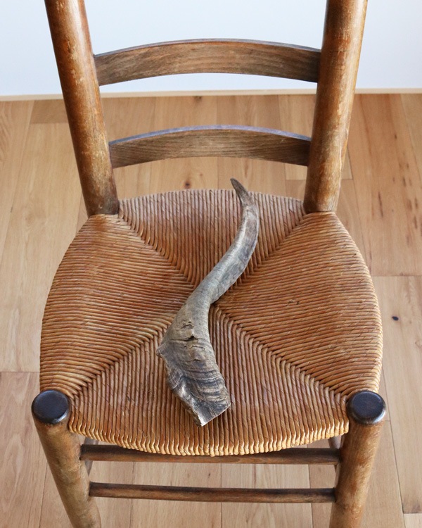 Goat Horn B�û��Ӥγ� B