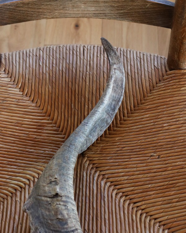 Goat Horn B�û��Ӥγ� B