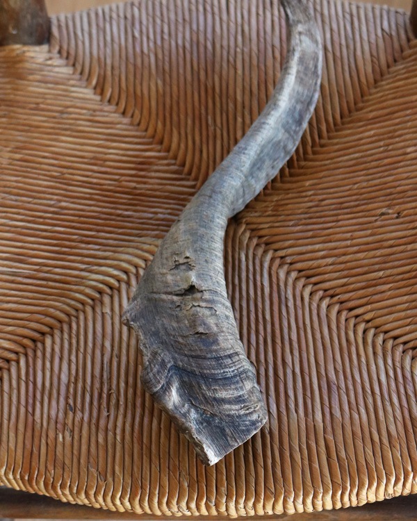 Goat Horn B�û��Ӥγ� B