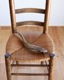 Goat Horn B�û��Ӥγ� B