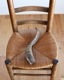 Goat Horn B�û��Ӥγ� B