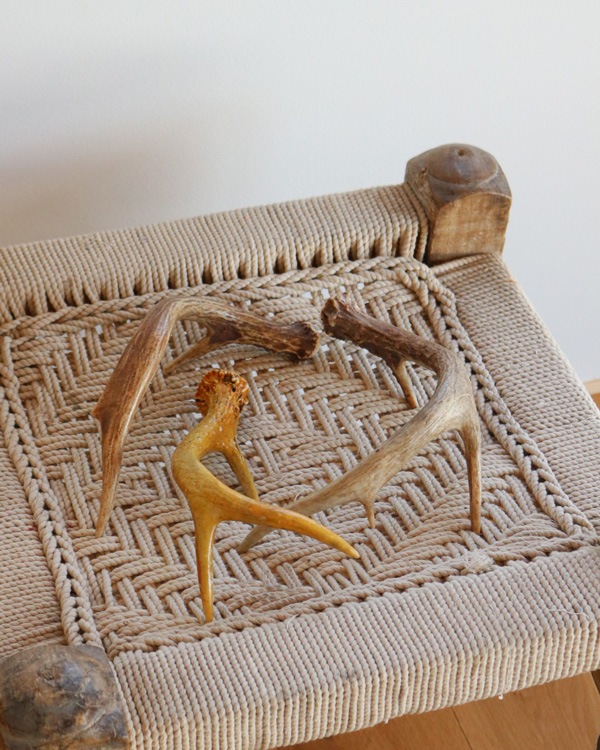 Deer Antler B�ü��γ� B