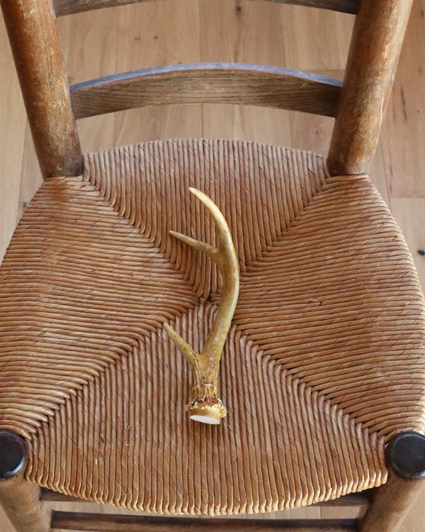Deer Antler B�ü��γ� B