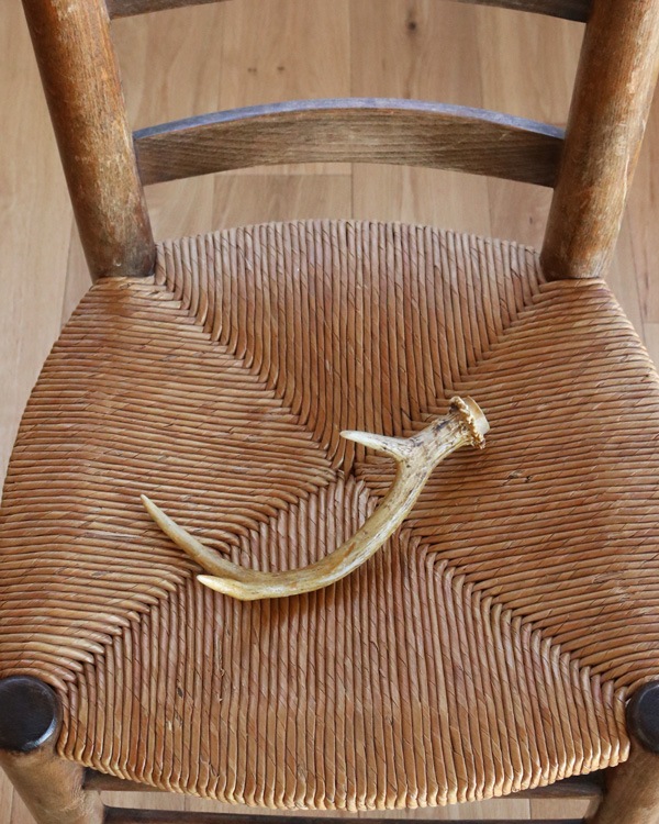 Deer Antler B�ü��γ� B