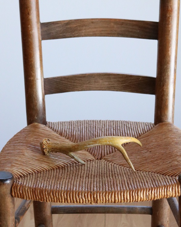 Deer Antler B�ü��γ� B