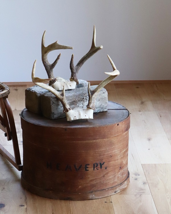 Deer Antler H-No.01�ü��γ� H-No.01