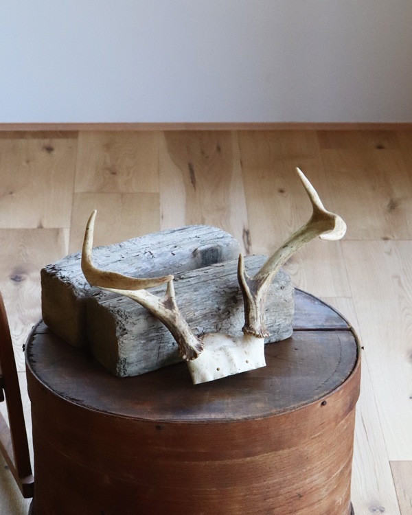 Deer Antler H-No.01�ü��γ� H-No.01