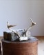 Deer Antler H-No.01�ü��γ� H-No.01