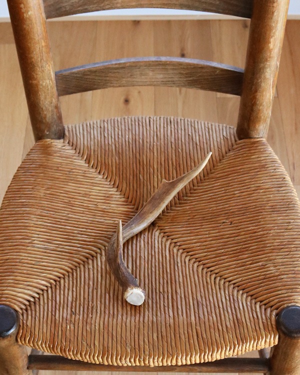 Deer Antler C�ü��γ� C