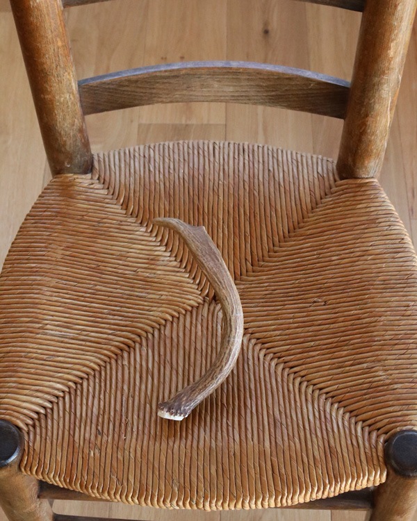 Deer Antler C�ü��γ� C
