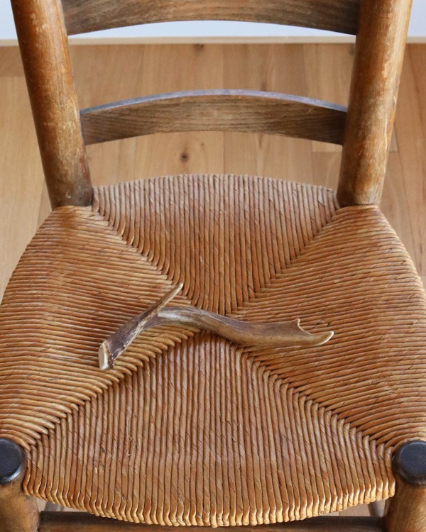 Deer Antler C�ü��γ� C