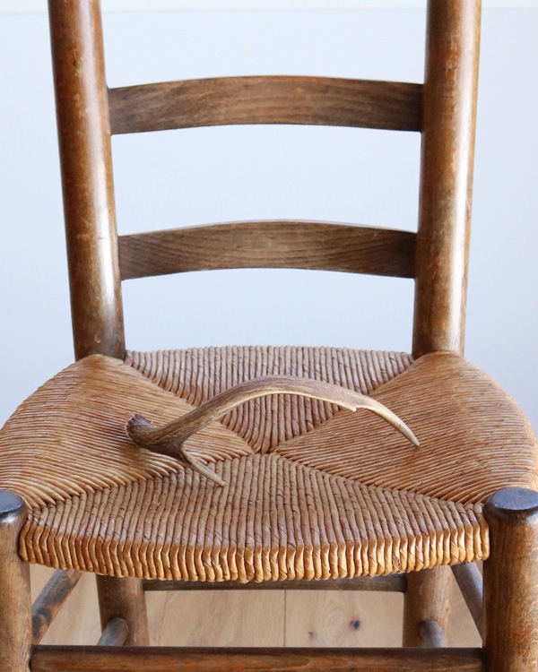 Deer Antler C�ü��γ� C