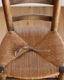 Deer Antler C�ü��γ� C