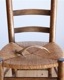 Deer Antler C�ü��γ� C