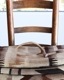 Deer Antler C�ü��γ� C