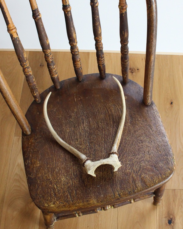 Deer Antler Düγ D