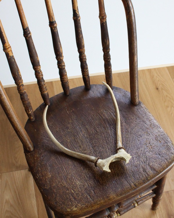 Deer Antler Düγ D