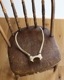 Deer Antler Düγ D
