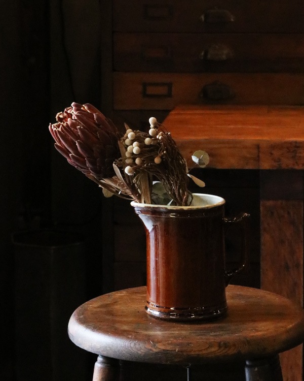 Brown Pitcher OC-22�å֥饦��ԥå��㡼 OC-22