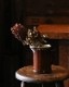 Brown Pitcher OC-22�å֥饦��ԥå��㡼 OC-22