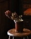 Brown Pitcher OC-22�å֥饦��ԥå��㡼 OC-22
