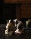 Gold Indian Coin Bank�å���ǥ�����Υ�����Х�