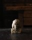 Gold Indian Coin Bank�å���ǥ�����Υ�����Х�