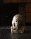 Gold Indian Coin Bank�å���ǥ�����Υ�����Х�