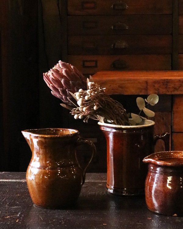 Brown Pitcher OC-23�å֥饦��ԥå��㡼 OC-23