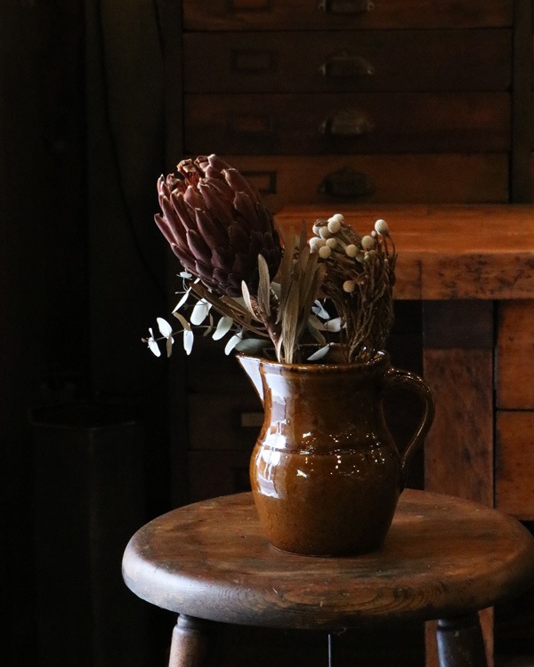 Brown Pitcher OC-23�å֥饦��ԥå��㡼 OC-23