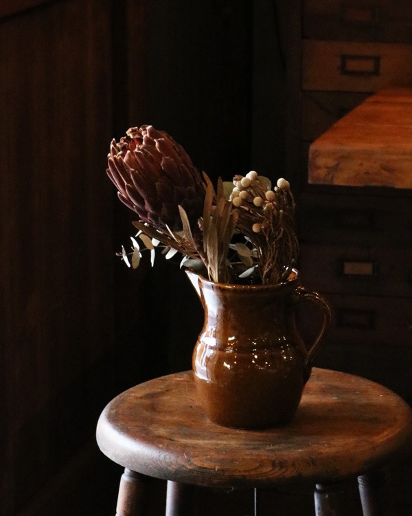 Brown Pitcher OC-23�å֥饦��ԥå��㡼 OC-23