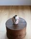 Southwest Style Art Pottery Vase Cåȥ ȥݥ꡼١ C