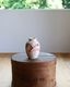 Southwest Style Art Pottery Vase Cåȥ ȥݥ꡼١ C